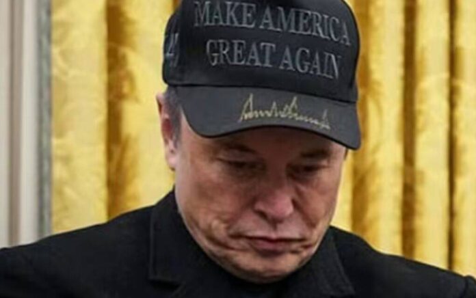musk musk
