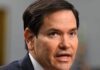 marco rubio