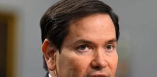 marco rubio