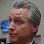 newsom