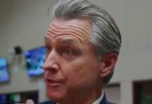 newsom