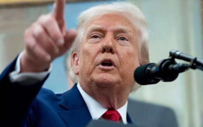 trump trump