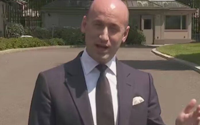 stephen miller stephen miller