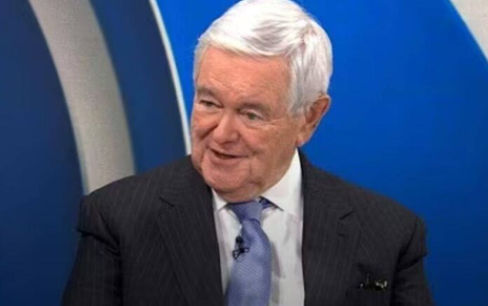 newt gingrich newt gingrich