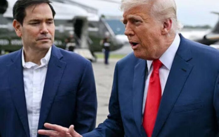 marco rubio