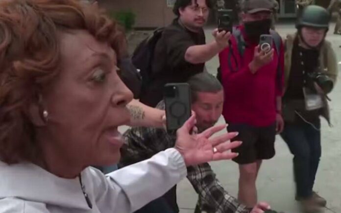 maxine waters maxine waters