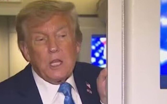 trump trump