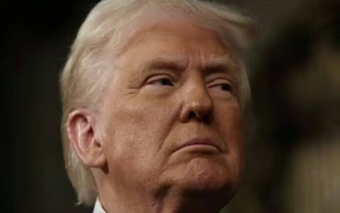 trump trump