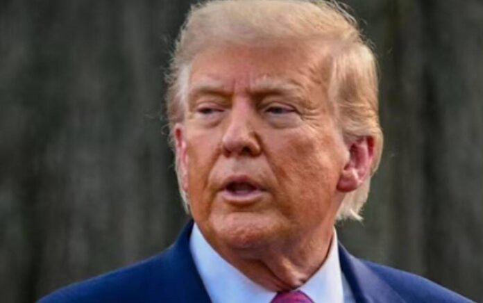 TRUMP TRUMP