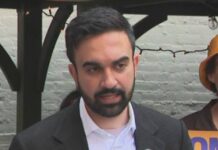 mamdani