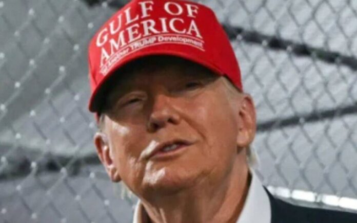 djt