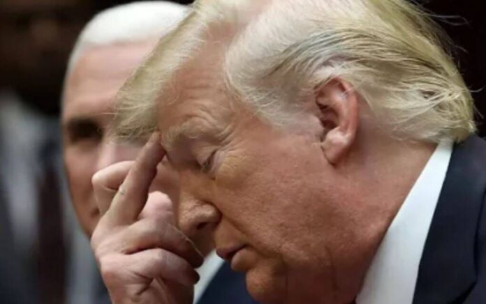 trump trump