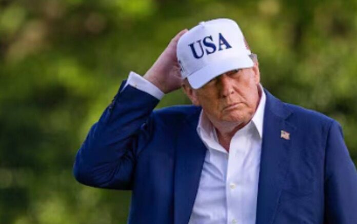 trump trump
