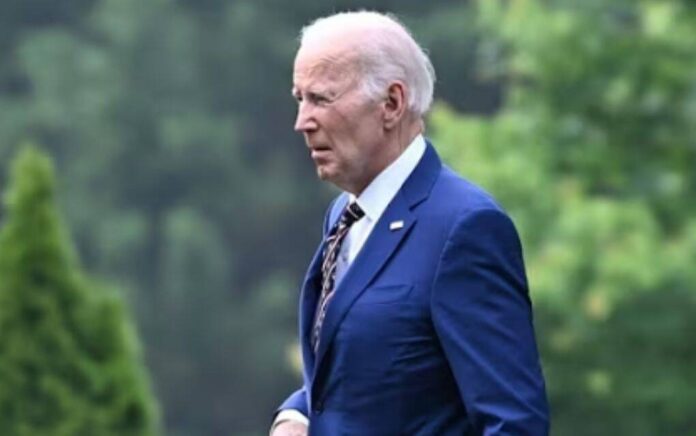 biden biden