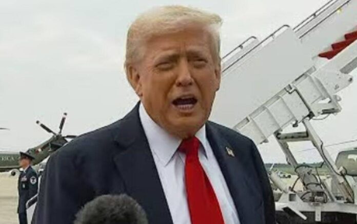 trump trump