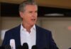 newsom