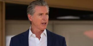 newsom
