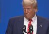 trump nato