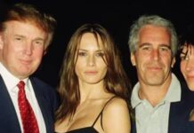 trump epstein