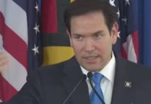 marco rubio