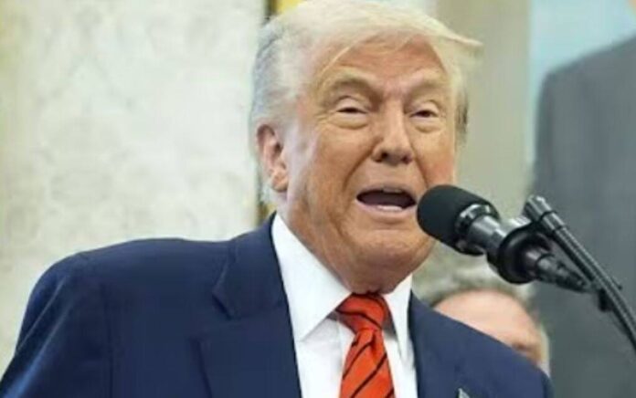 trump trump