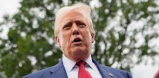trump epstein