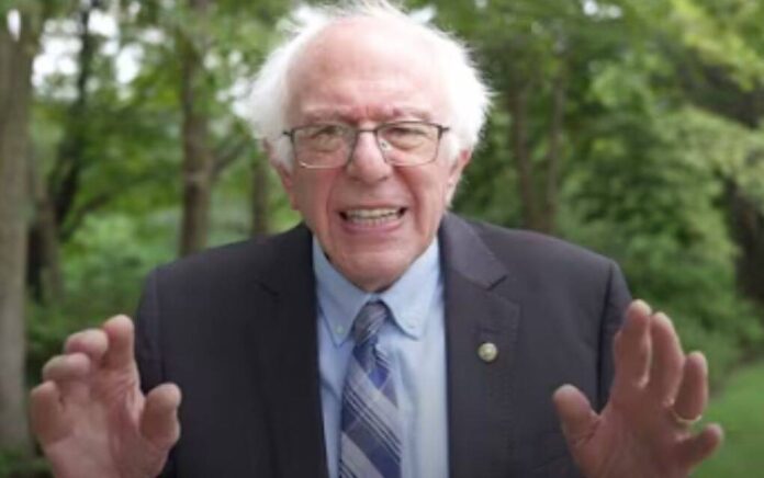 bernie sanders