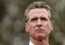 newsom