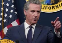 newsom