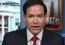rubio