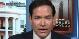 rubio