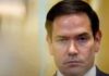 rubio