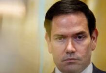 rubio