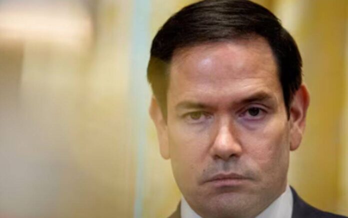 rubio rubio