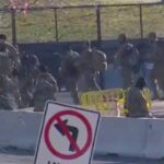 trump dc gang arrest
