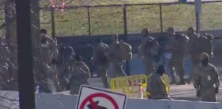 trump dc gang arrest