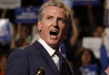 gavin newsom