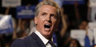 gavin newsom