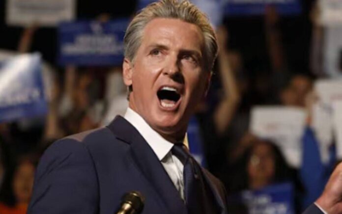 gavin newsom