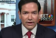 marco rubio