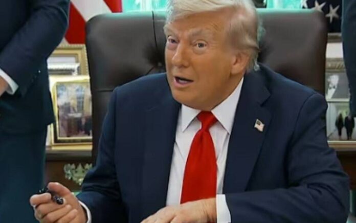 trump trump