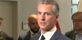gavin newsom
