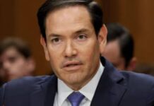 marco rubio