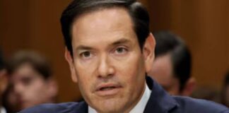 marco rubio